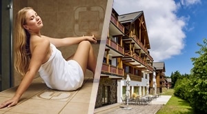 Iskoristite LJETO u Forest Hotelu Videc! 2 noćenja s polupansionom i pićem za 2 osobe i dijete uz neograničen WELLNESS i domaću piknik košaricu! Idealna OBITELJSKA  idila na svježem planinskom zraku!