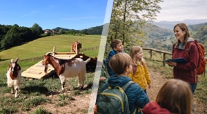 NEZABORAVAN DJEČJI KAMP U SLOVENIJI! 6 dana/ 5 noćenja avanture u prirodi uz PUNI PANSION, spavanje na sjeniku, kreativne radionice i DRUŽENJE S VRŠNJACIMA! Najbolje ljetne aktivnosti u Parku Mirje!