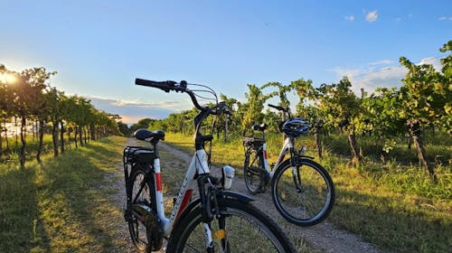 Hotel Rezidenca Ortus - U dvoje s električnim biciklima duž slovenske obale, Ankaran, Slovenija - 319 EUR - 2x noćenje u dvokrevetnoj sobi za 2 osobe, Polupansion