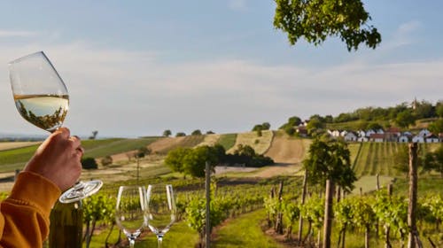 Althof Retz, Landgut & SPA - Adults only wellness odmor s uključenom degustacijom vina, Retz, Austrija - 955 EUR - 3x noćenje u dvokrevetnoj sobi Classic Landgut za 2 osobe, Polupansion (buffet doručak i večera u 5 slijeda)