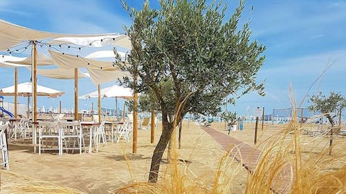 Hotel Alba - Odmor uz pješčanu plažu, Marina di Ravenna, Italija - 230 EUR - 2x noćenje u Superior dvokrevetnoj sobi za 2 osobe, Buffet doručak