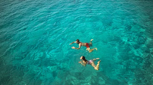 Aminess Vival Port9 Resort - Obiteljsko ljeto na Korčuli, Korčula, Dalmacija, Hrvatska - 783 EUR - 4x noćenje u dvokrevetnoj Superior sobi s balkonom strana park za 2 osobe (1 dijete do 9,99 godina besplatno), Polupansion