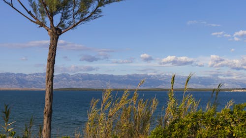 Auramar Pansion - Obiteljsko ljeto u Dalmaciji, Sabunike, Privlaka, Dalmacija, Hrvatska - 1.479 EUR - 7x noćenje u Family sobi za 2 osobe (2 djece do 14,99 godina i 1 dijete do 5 godina besplatno), Polupansion