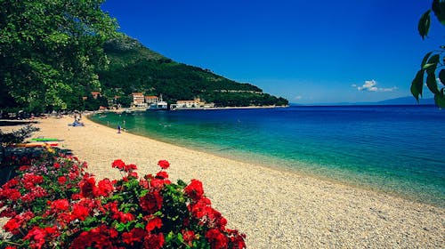 Hotel Quercus - All inclusive light odmor u Dalmaciji, Drvenik, Makarska rivijera, Dalmacija, Hrvatska - 390 EUR - 3x noćenje u dvokrevetnoj sobi s dodatnim ležajem (park strana) za 2 osobe (1 dijete do 12 godina i 2. dijete do 3 godine besplatno), All inclusive light