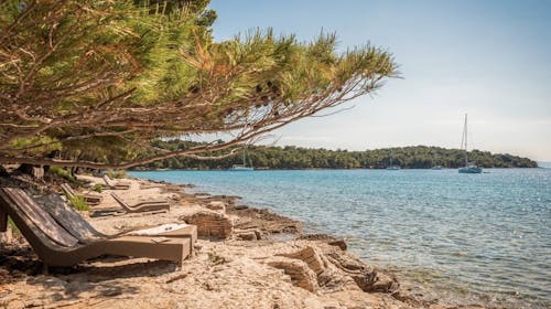 Aminess Senses Resort - Obiteljska jesen sa all inclusive light na Hvaru, Vrboska, otok Hvar, Hrvatska - 231 EUR - 2x noćenje u dvokrevetnoj Superior sobi s balkonom za 2 osobe (1 dijete do 9,99 godina besplatno), All inclusive light