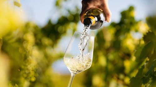 Hotel Rezidenca Ortus - Jesenski odmor uz vinsko iskustvo na slovenskoj obali, Ankaran, Slovenija - 379 EUR - 2x noćenje u dvokrevetnoj sobi za 2 osobe, Polupansion